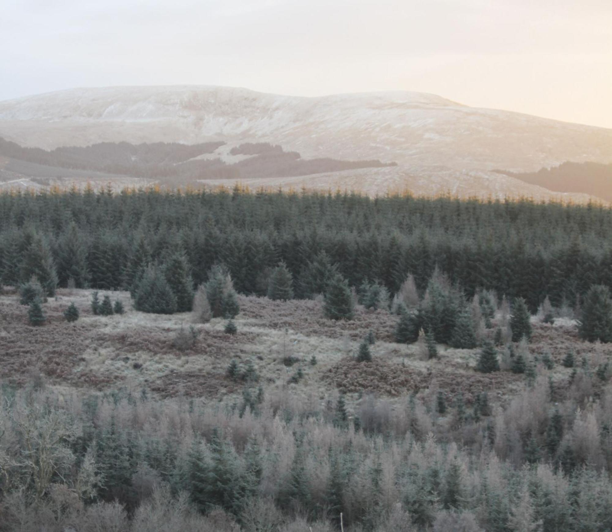 The Coorie Villa Bargrennan ภายนอก รูปภาพ